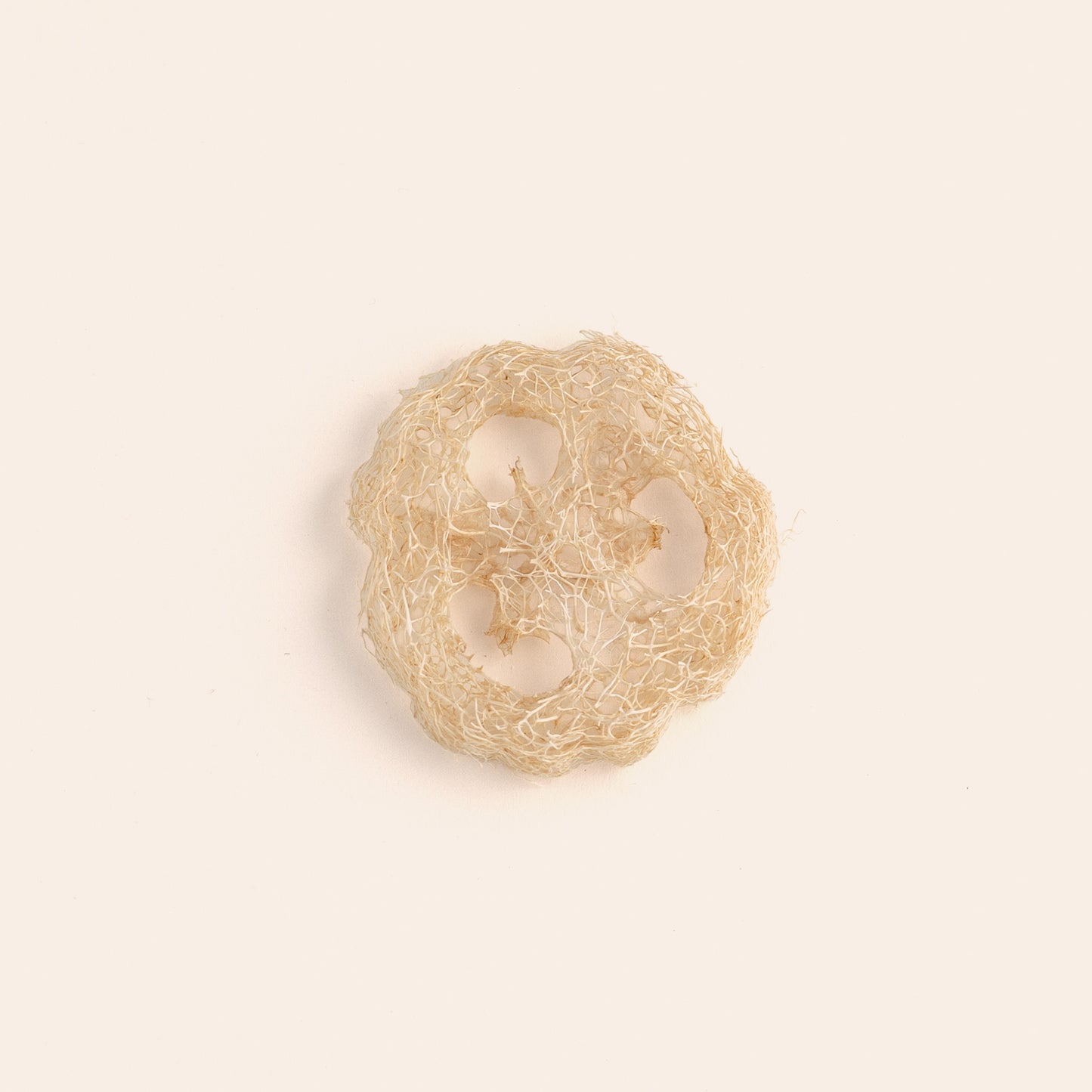 Luffa Zeepkussen