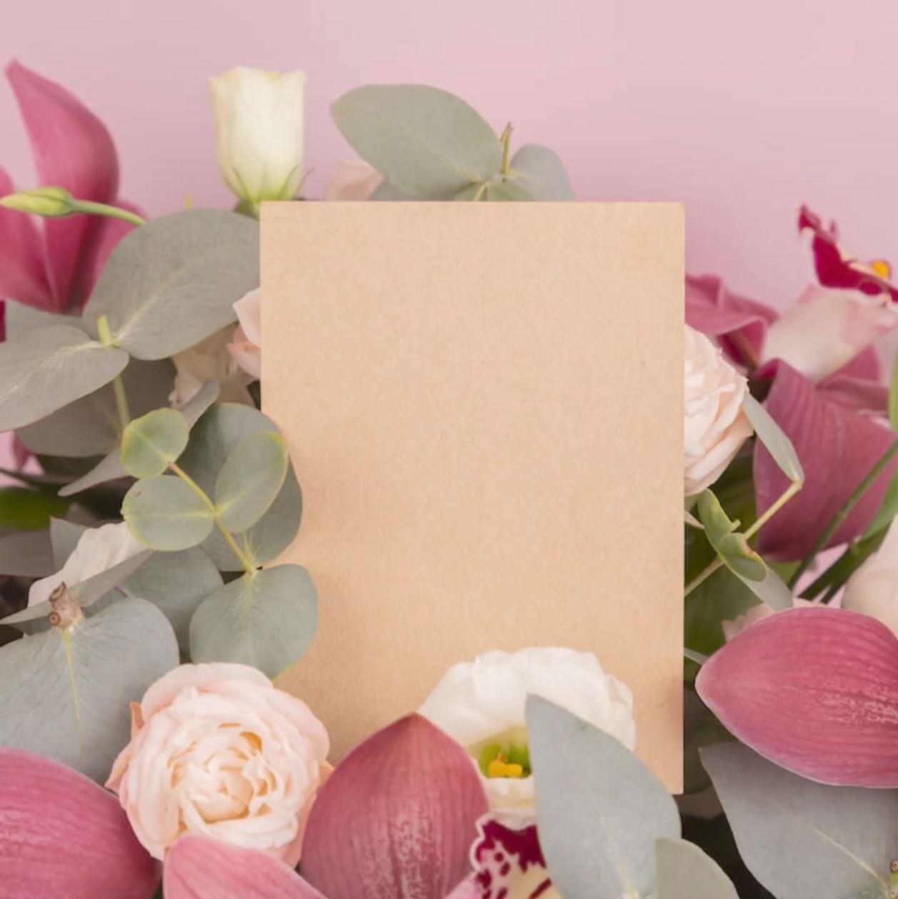 De Zapy Kadobon: het perfecte cadeau voor elke gelegenheid. Geef vrienden en familie de keuze uit natuurlijke, vegan en dierproefvrije huidverzorgingsproducten. Een attent én milieubewust geschenk voor liefhebbers van duurzame verzorging.