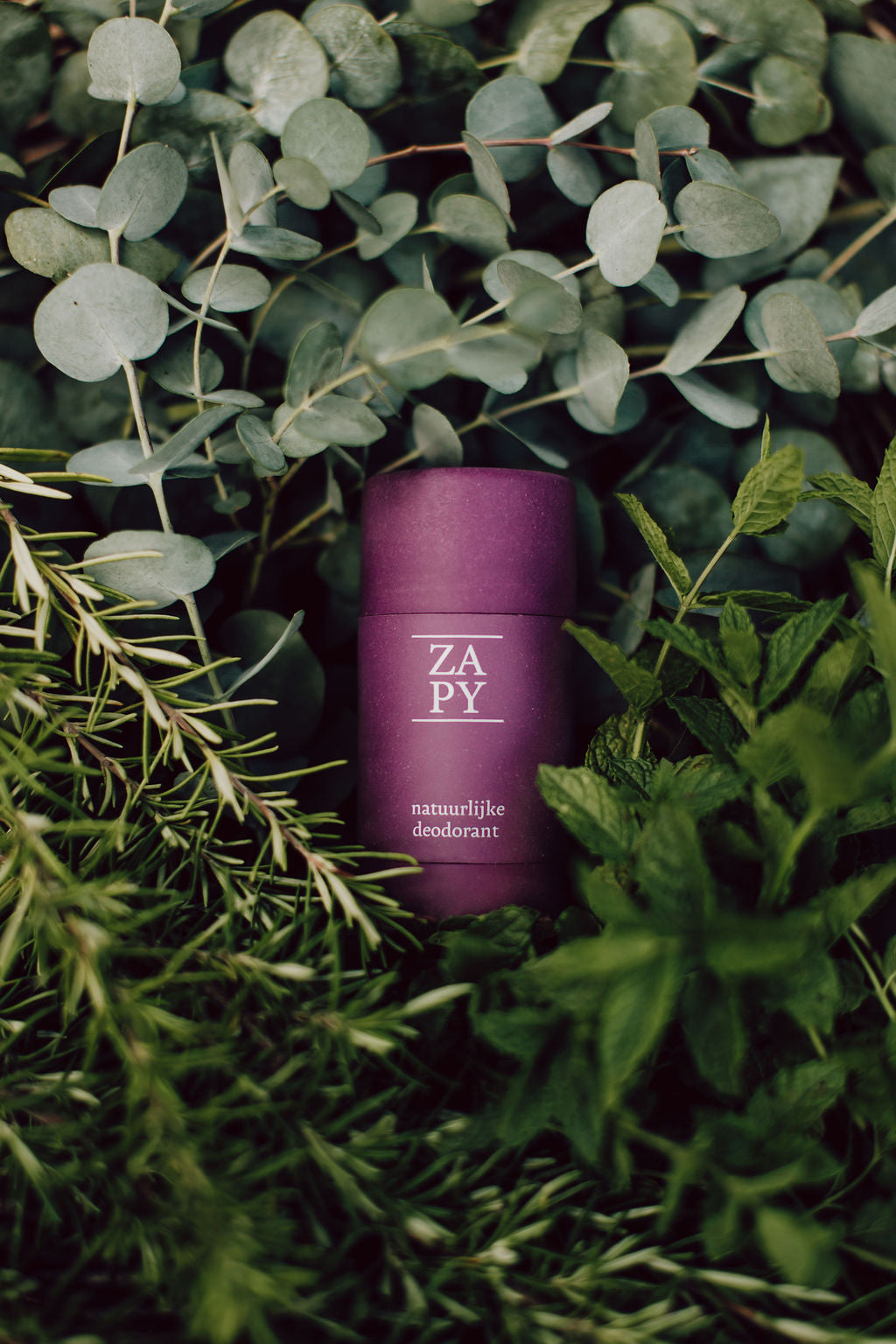 Natuurlijke deodorant: waarom onze Zapy deodorant zo fantastisch is.