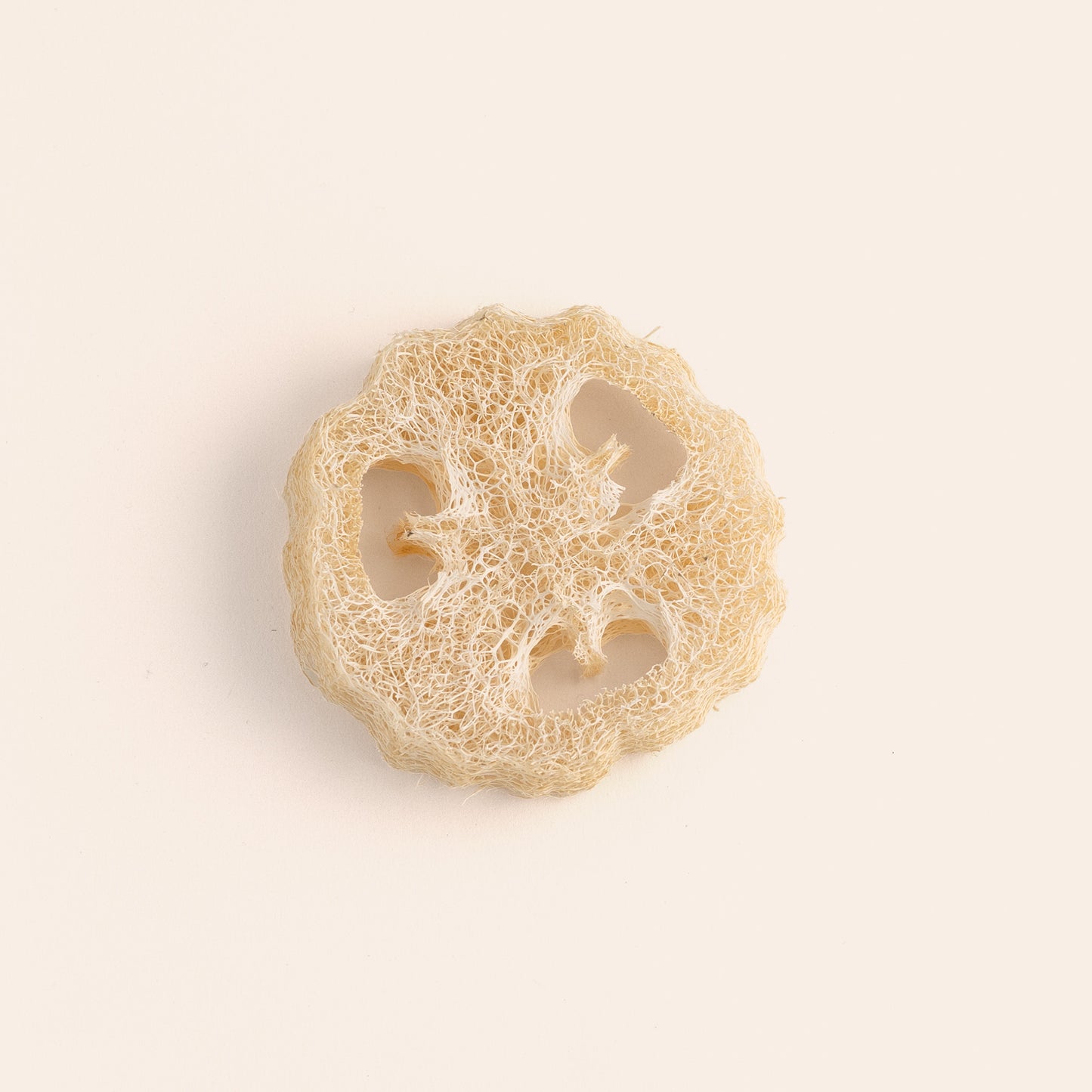 Luffa Zeepkussen